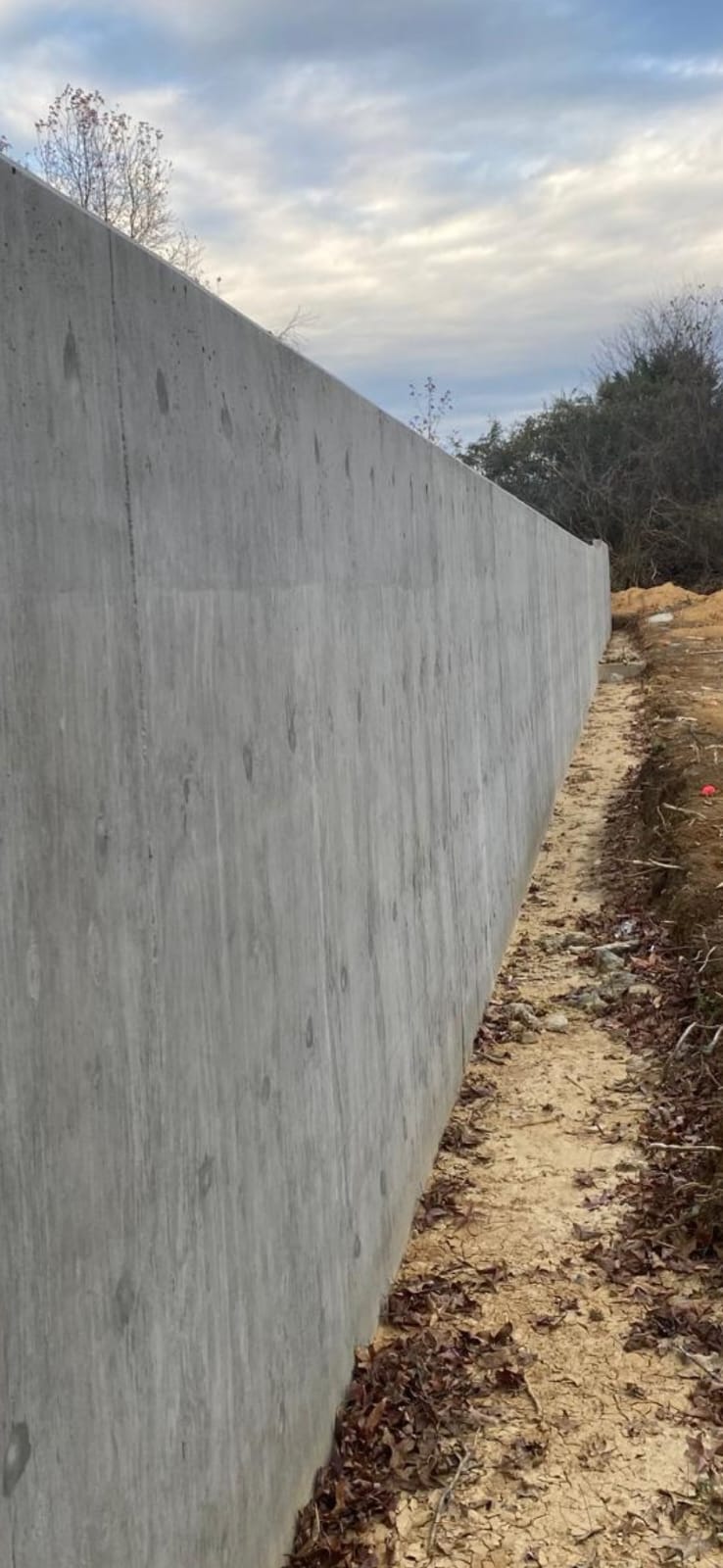 Pumas Concrete Hardscape project